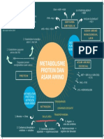 Metabolisme Protein Dan Asam Amino: Mind Map TM Ii/Idk I
