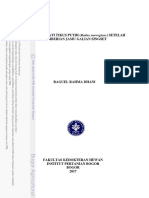 B17rrd PDF
