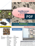 Visual Observations Petrography