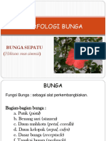 Farmakognosi Bunga, Buah, Biji 