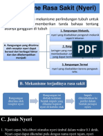 Mekanisme Rasa Sakit (Nyeri)