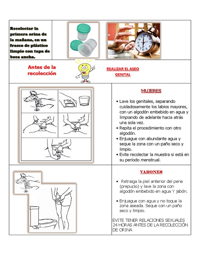 Recolectar La Primera Orina de La Mañana PDF