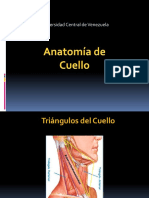 Anatomia de Cuello