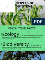 Key principles of ecosystems