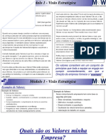 Modulo 1 - Visao Estrategica