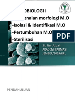 mikrobiologi 1