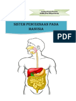 LKPD Sistem Pencernaan