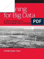 Planning For Big Data PDF