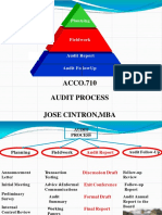 Audit Process PDF