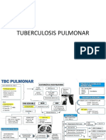 Tuberculosis Pulmonar QX PDF