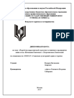 diplom_andreeva.pdf