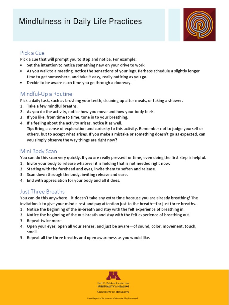 Mindfulness in Daily Life Practices: Pick A Cue | PDF