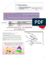 Guia 2 Sistema Circulatorio1