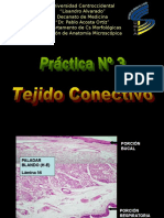 Practica #3tejido Conectivo