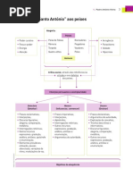 esquema_sintese_sermao