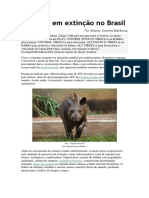 Animais em extinção no Brasil.docx