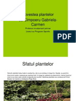 Povestea Plantelor