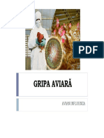 LP - Gripa Aviara 2018