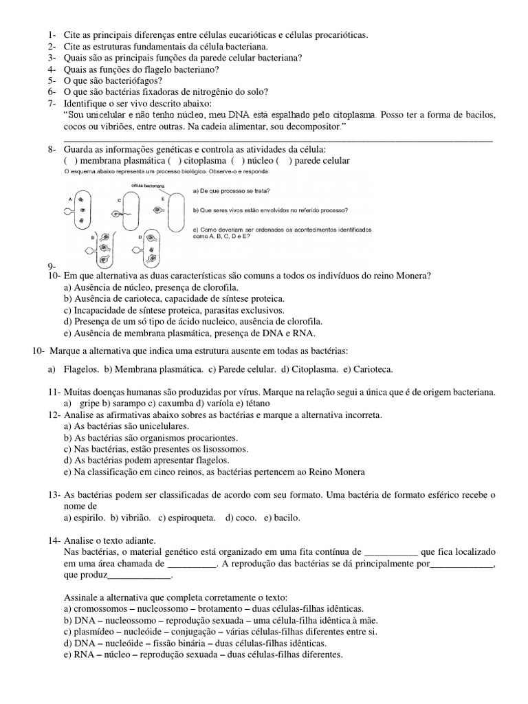 Exercícios Sobre Reprodução Das Bactérias – CXVXDB