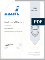 Romel Austria Malaluan JR: Course Certificate