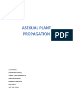 Agri Asexual Propagation Final