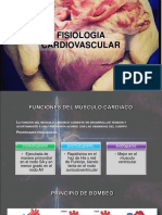 Fisiologiacardiovascular 151125024203 Lva1 App6892