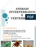 Animais Invertebrdos e Vertebrados