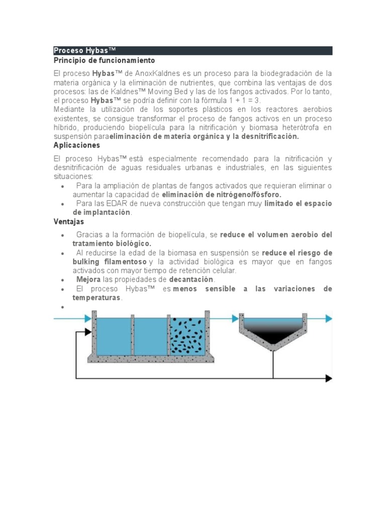 Proceso Hybas | PDF | Tratamiento de aguas residuales | Aguas residuales