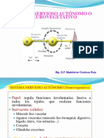 SNA (2).pptx