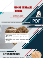 Seminario de Arroz