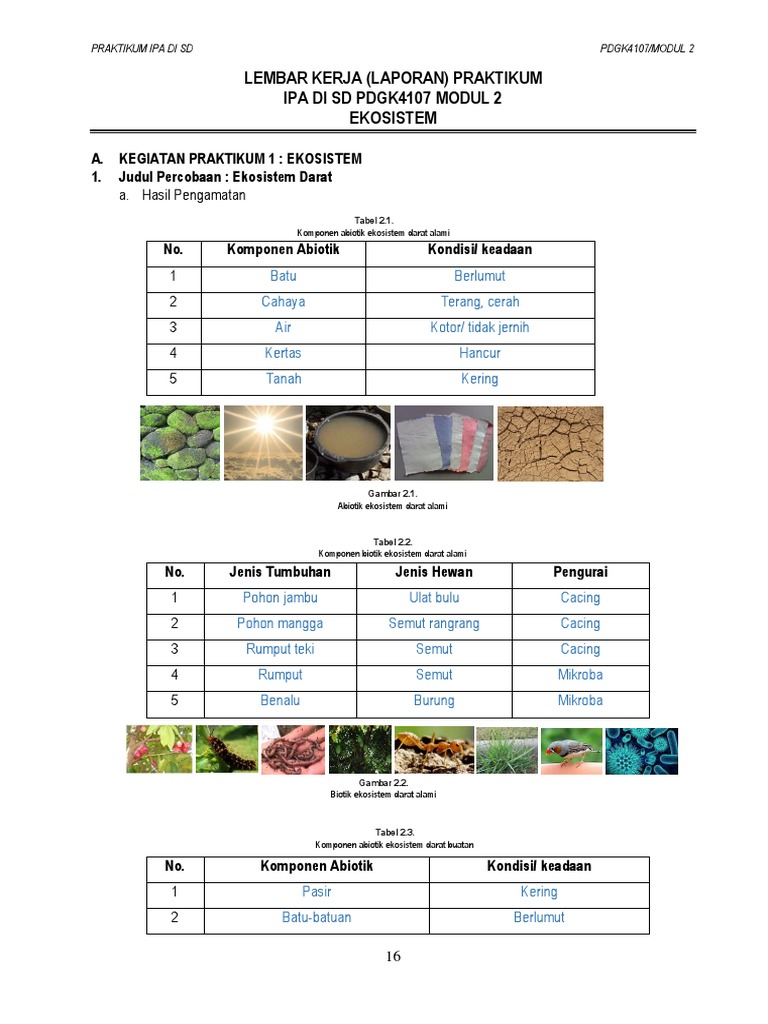 Praktikum Ipa Di Sd Pdgk4107 Modul 2