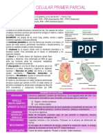 BIOLOGÍA CELULAR PRIMER PARCIAL 1.docx