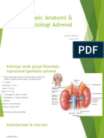 Kelenjar Adrenal