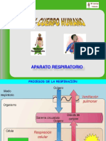 Aparato Respiratorio 3eso PDF