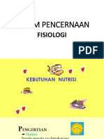 Fisiologi Sistem Pencernaan