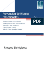 Prevención de Riesgos Profesionales