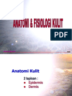 Anatomi Fisiologi dan Effloresensi Kulit.ppt