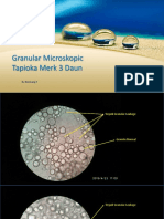 Granular Microscopic