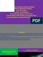 2º Enam Resuelto - Niño Suárez Margie Fiorella