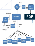 CELL CONCEPT MAP.docx