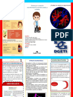 folleto de gladis.pdf