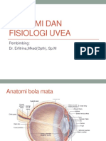 Anatomi Dan Fisiologi Uvea