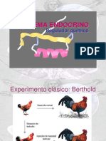 Endocrino