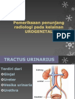 Radiologi Gambaran Batu Pada Sistem UG (Dr. Titiek)