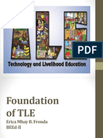 Foundation of TLE