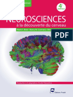 NEUROSCIENCES À La Découverte Du Cerveau - Mark F. Bear, Barry W. Connors, Michael A. Paradiso 4ème Édition