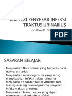 Bakteri Penyebab Infeksi Saluran Kemih PDF