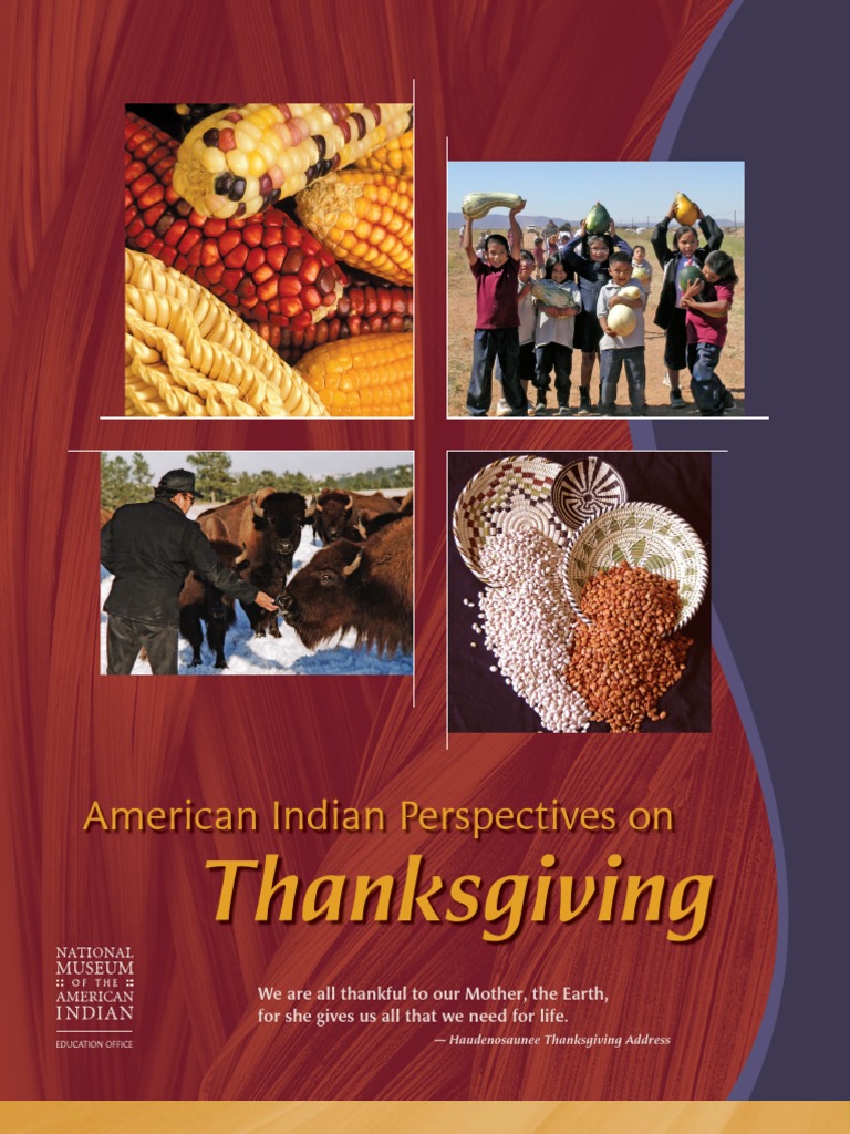 Native American Perspective | PDF | Native Americans In The United ...