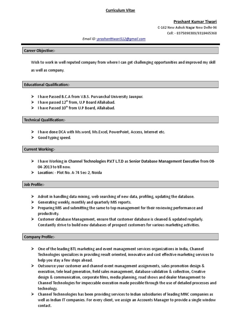 Prashant Resume | PDF | Databases | Marketing