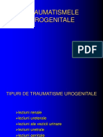 Trauma Urogenitala